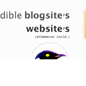 Start Blogging